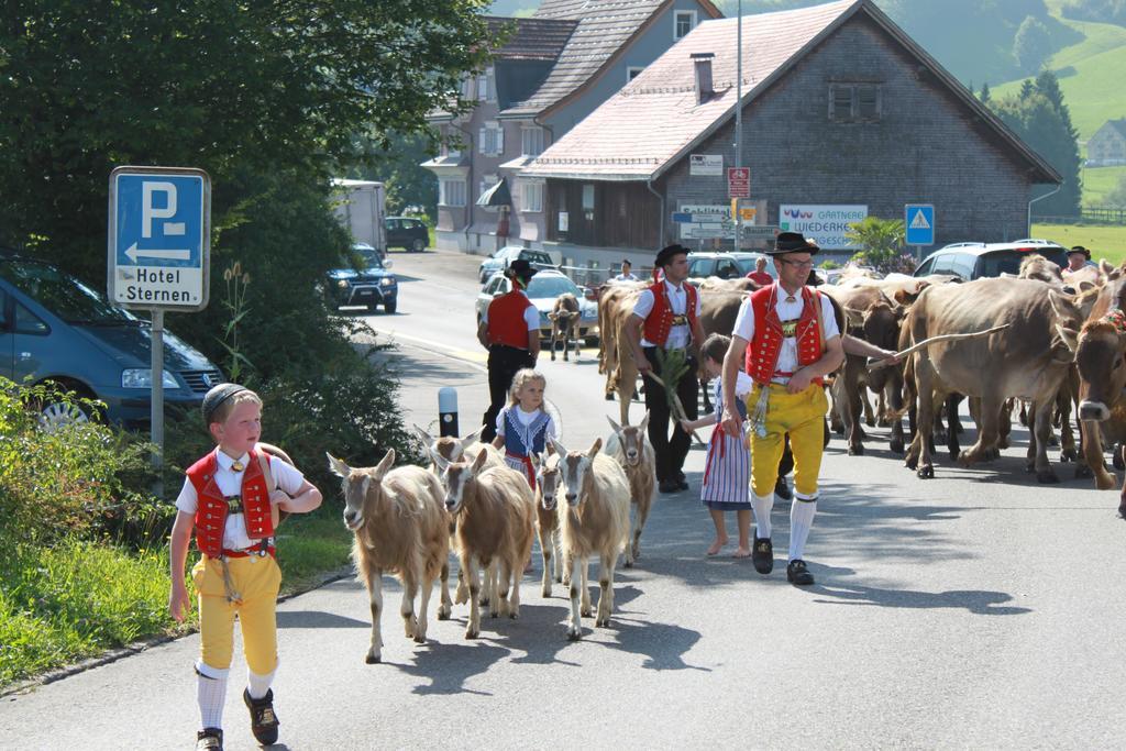Hotel-Restaurant Sternen Nesslau Zewnętrze zdjęcie